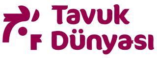 Tavuk Dünyası